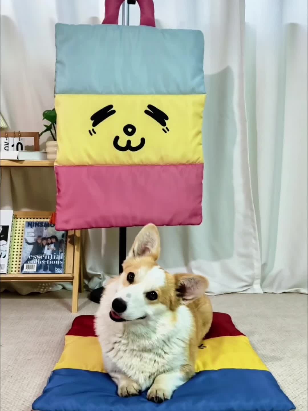 Cozy Orthopedic Colorful Emoji Dog Mat 🐾